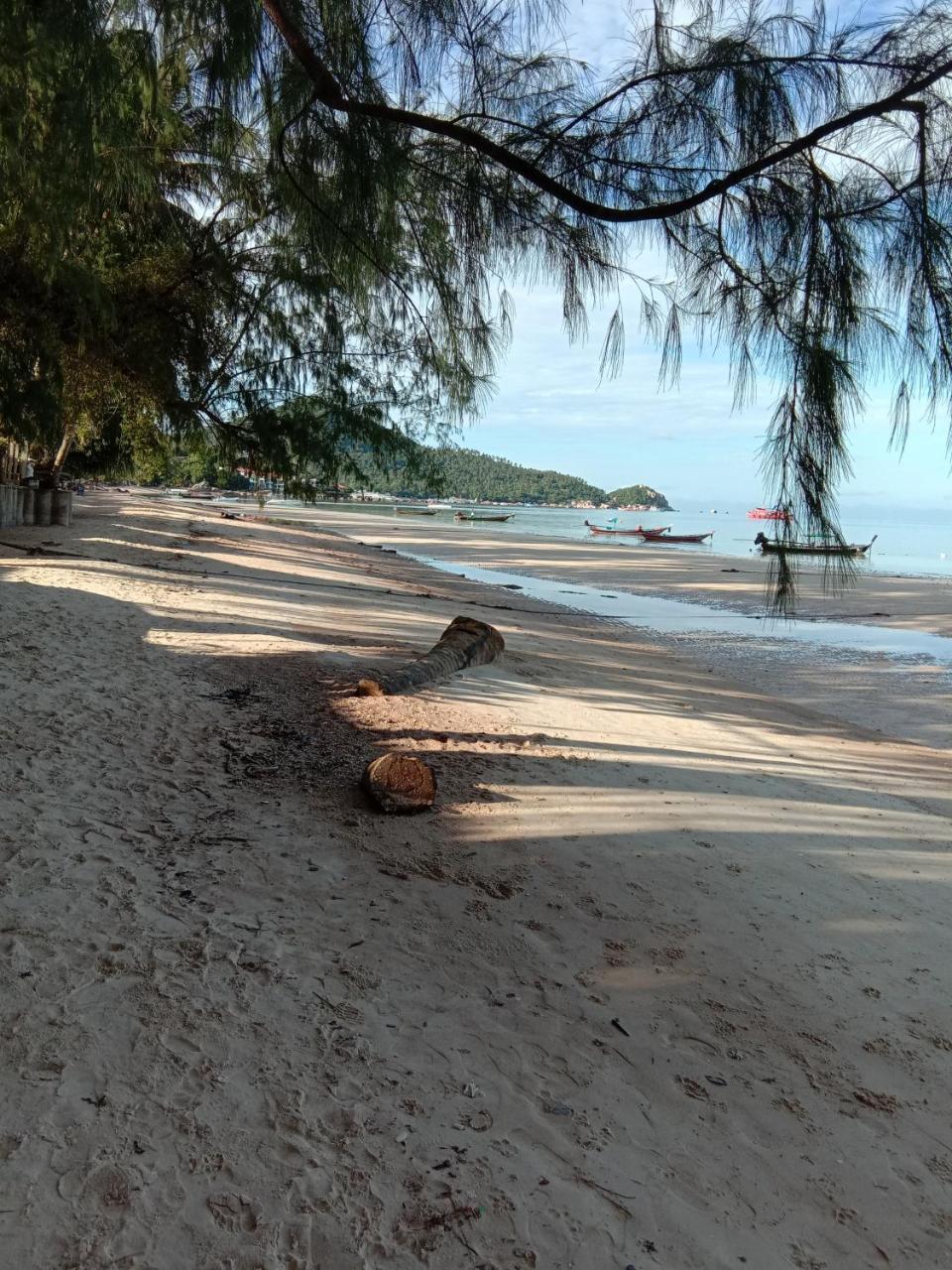 Prik Thai Resort Ko Tao Dış mekan fotoğraf